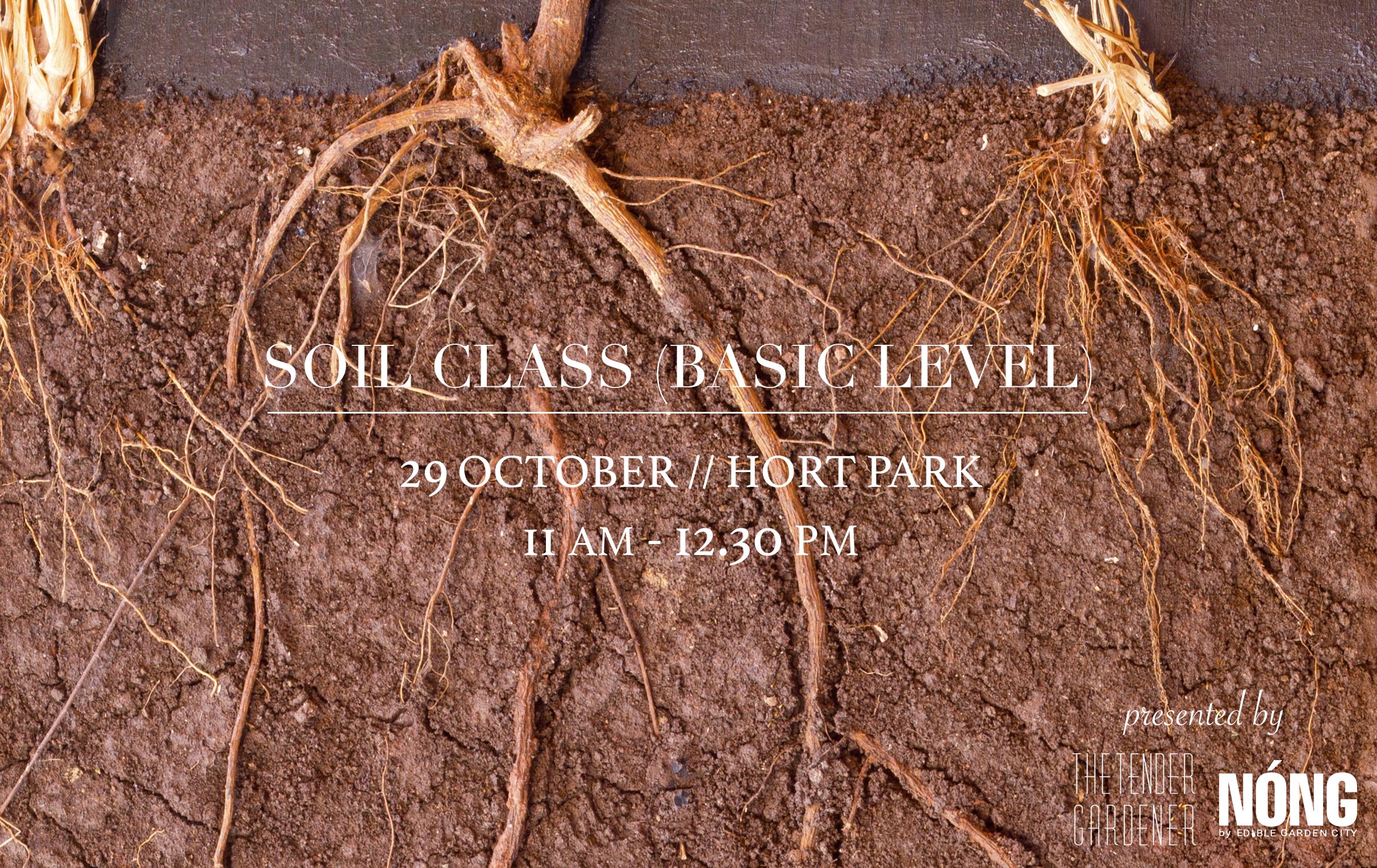 soil workshop singapore hort park
