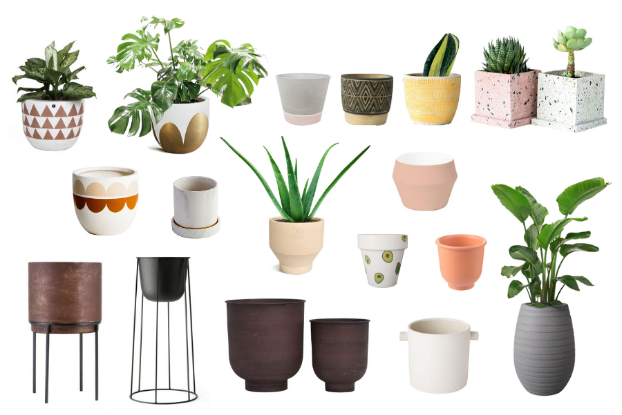 Ceramic pots for indoor plants near me