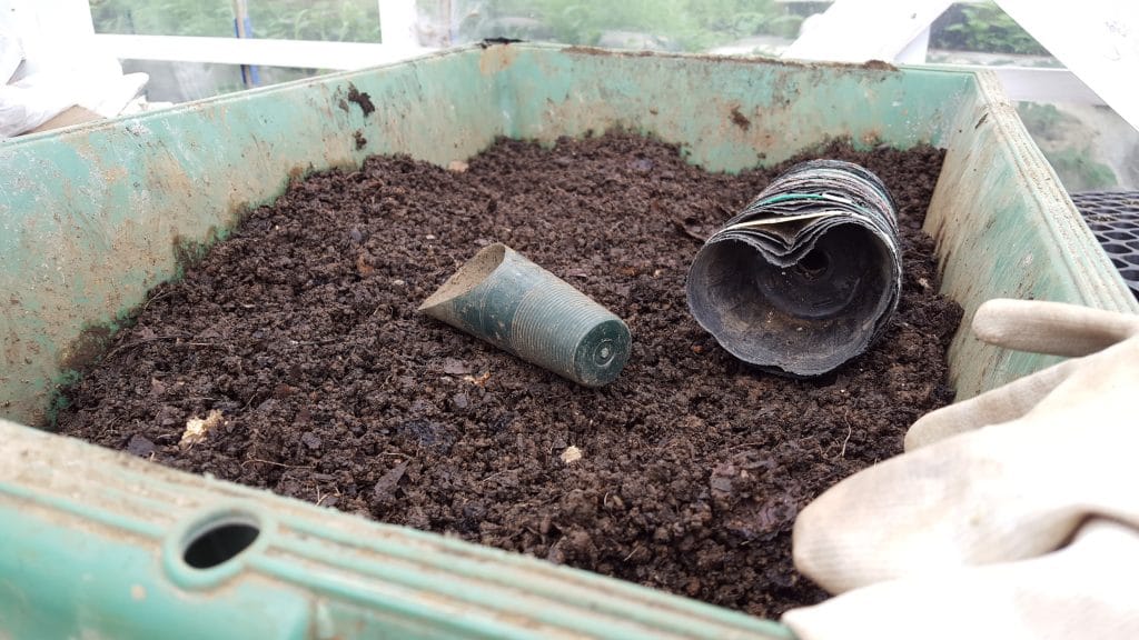 Soil to grow vegetables in singapore