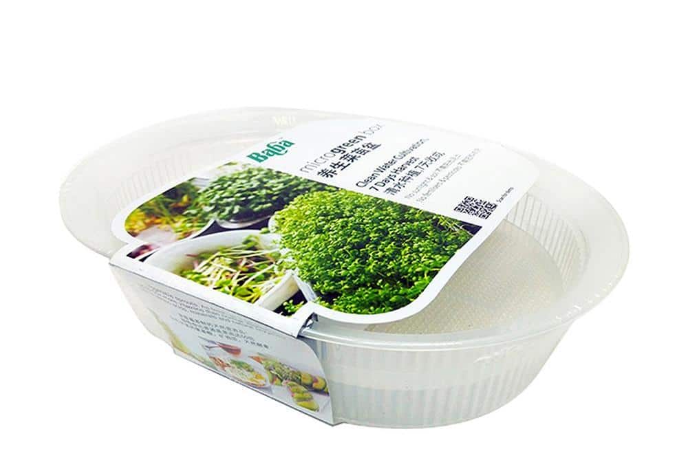 microgreens kit singapore