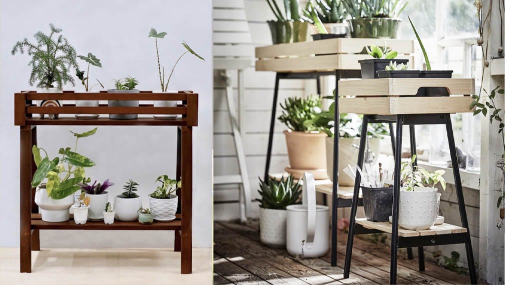 where to buy wooden plant rack singapore