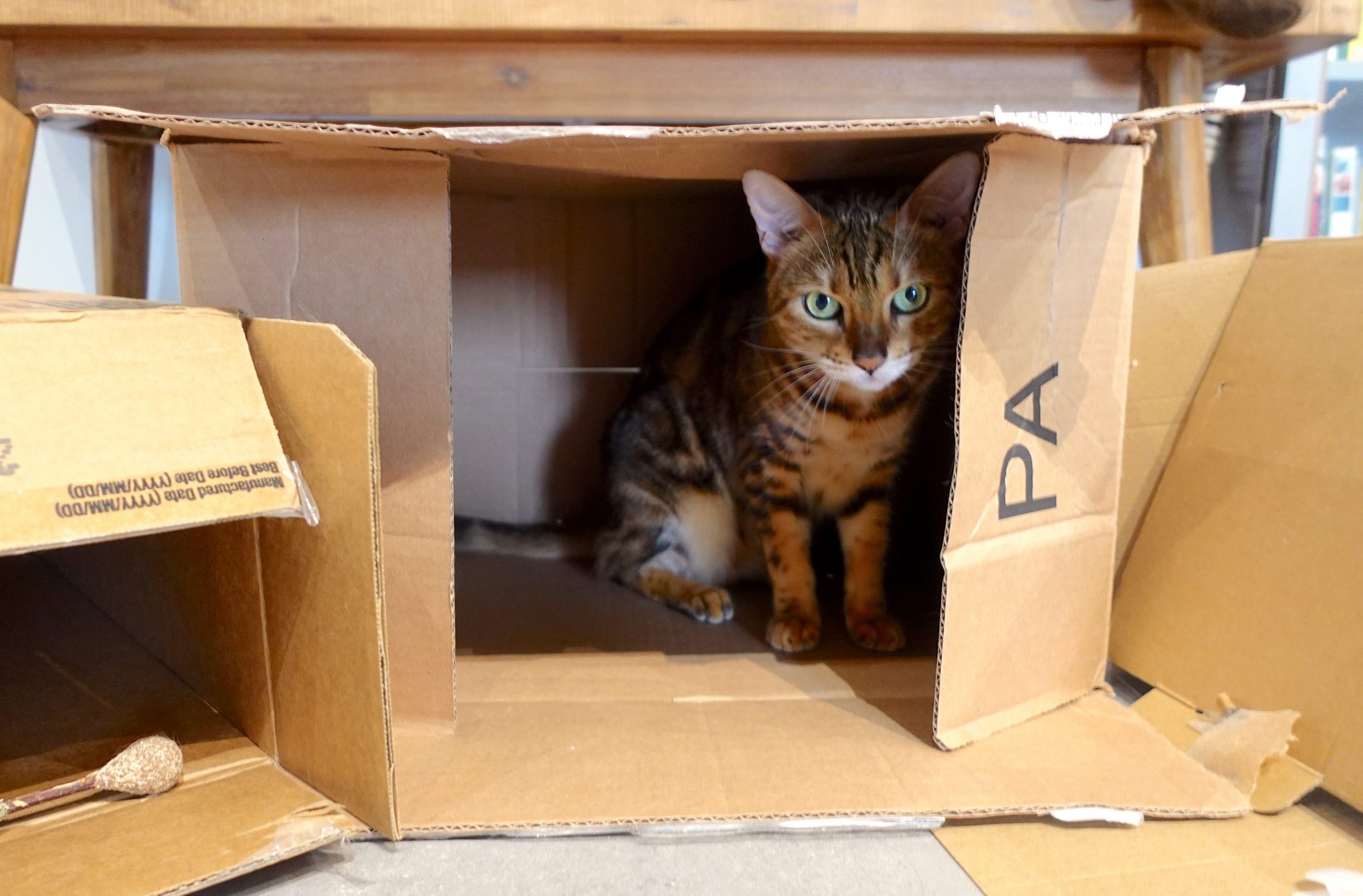 How to reuse cardboard boxes