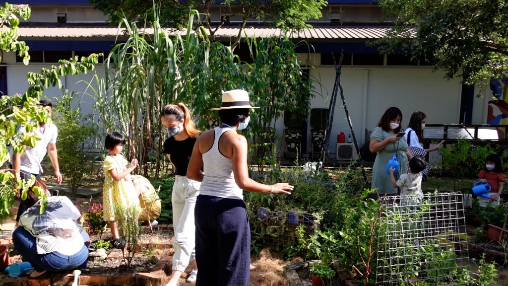 Urban permaculture