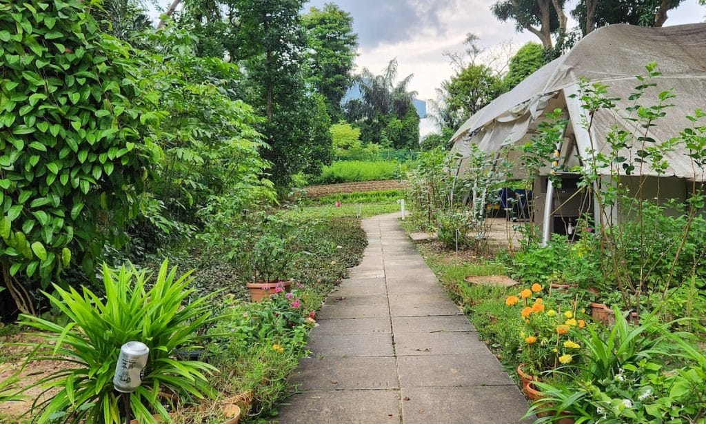 Nanyang Herb Garden Singapore
