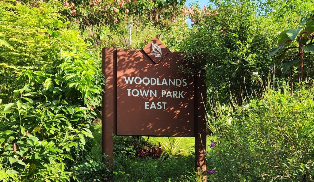 Woodlands town park east