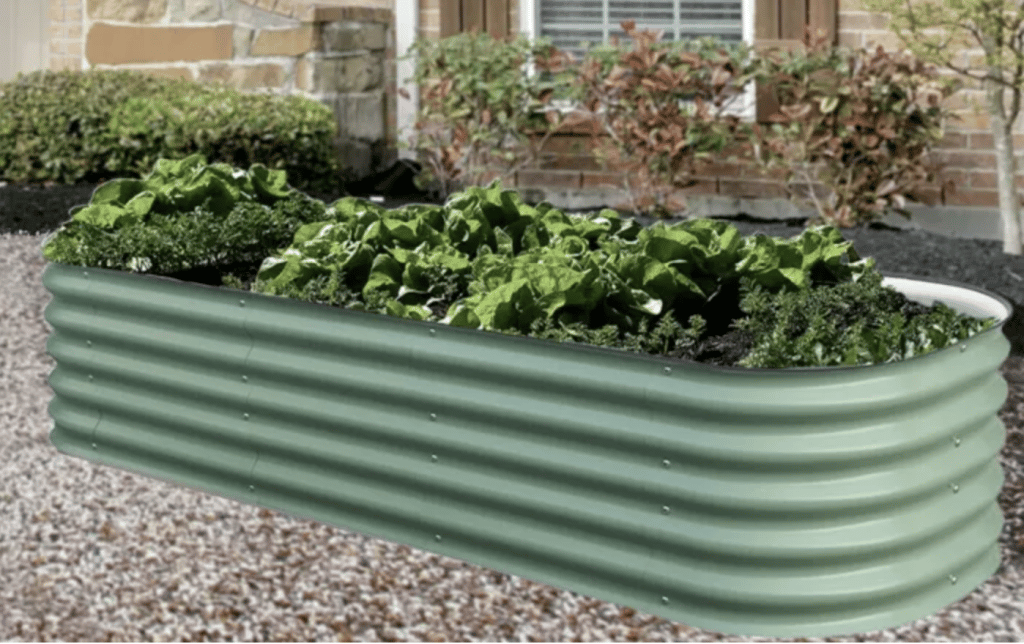 Where to buy raised beds in singapore